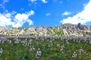 Parco delle Madonie ☀ Nature reserve in Sicily Parco delle Madonie ☀ Nature reserve in Sicily