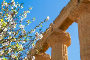 March: Spring awakening and almond bloom ☀ Weather in Sicily March: Spring awakening and almond bloom ☀ Weather in Sicily