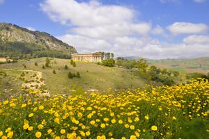 March: Spring awakening and almond bloom